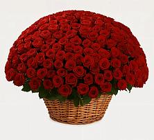 Премиум букет из: Розы в Камышеватской