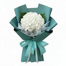 Букет цветов из:  Гортензия #REPLACE_PRED# Камышеватской